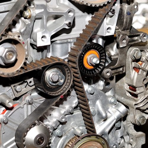 mini timing chain replacement